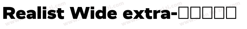 Realist Wide extra字体转换